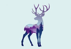 2f7cebae2aa901788bf4d731d51d6f80