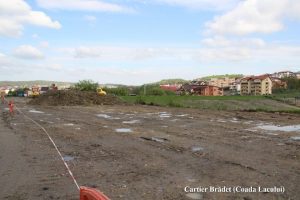 amenajare spatii verzi