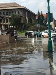 inundatii zalau
