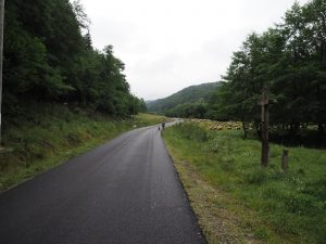 Paradisul din Valea Loznei – despre frumusețea oamenilor și a locurilor