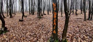 131129552_813559739490309_2062906675462639145_n