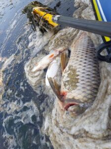 217125276_4174657252570576_1345648836666211426_n