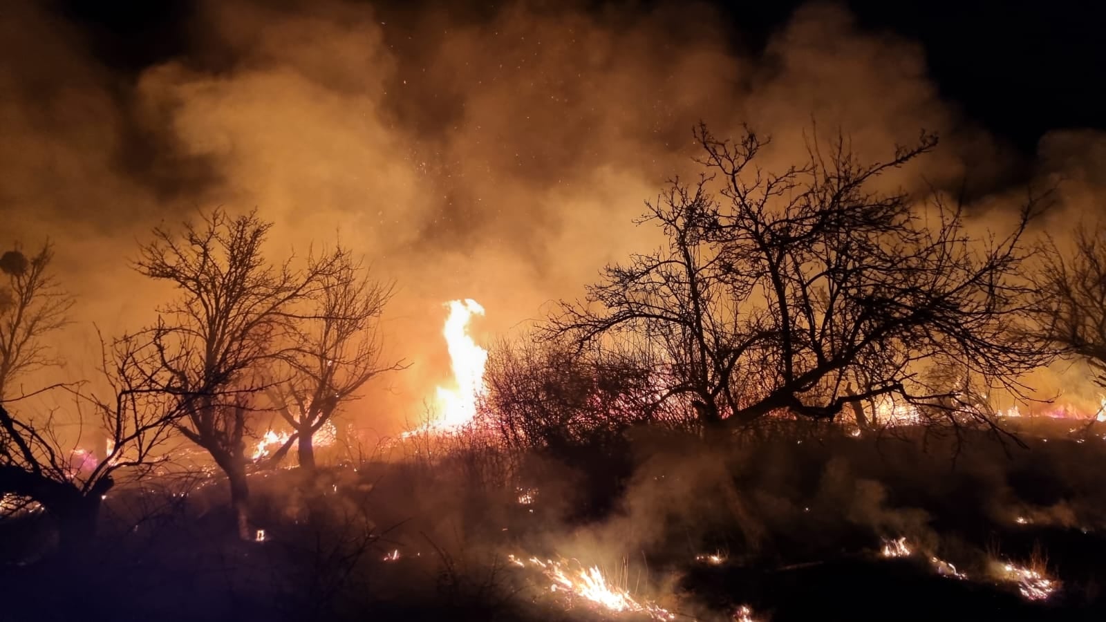 Sălajul, în flăcări! Peste 170 de incendii de vegetație în 20 de zile