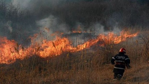 Cine dă foc la miriște nu mai primește bani de la APIA