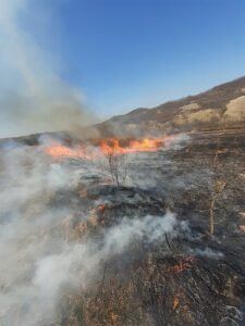 277348029_291264809813740_9148191476468330626_n