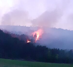 293285940_362914705982083_5787542297190938531_n