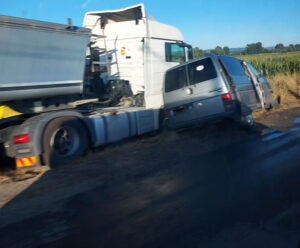 294109339_421710706644909_7858813586722454631_n