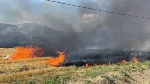 295281805_370972078509679_5070528729418116392_n