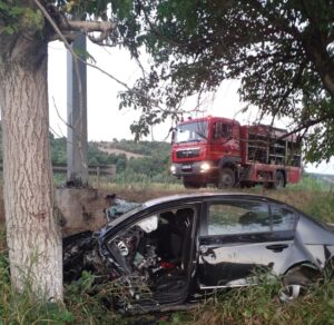 295358501_370164545257099_6599447029106615911_n