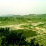 Cadastru în comuna Marca: afișarea publică a documentelor tehnice și pașii de verificare și rectificare