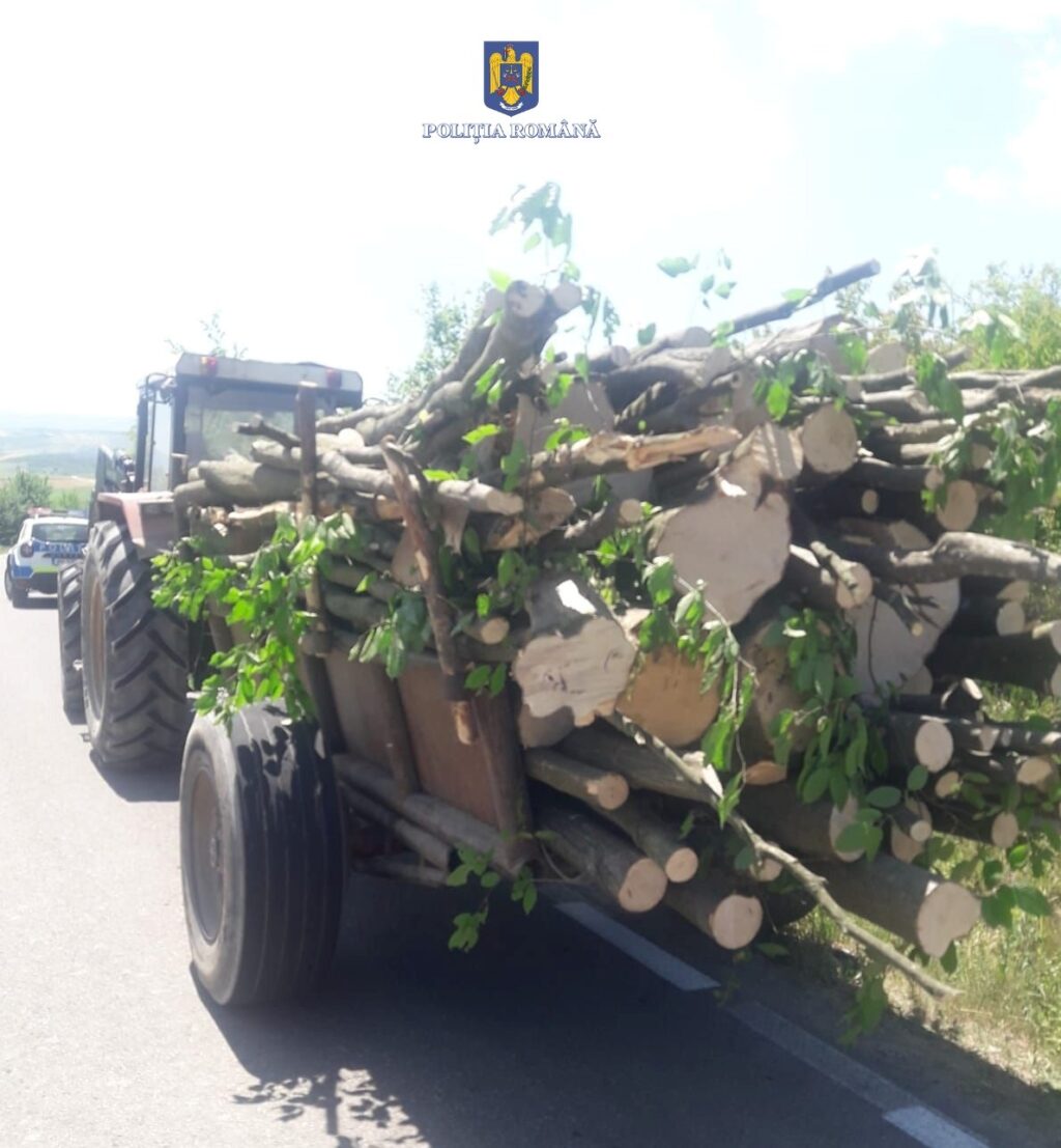 614abcfc-b324-423c-a4f4-ead7296d0b38