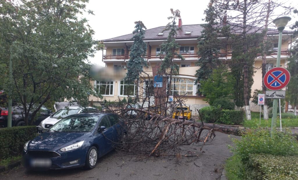 cf8c66c6-7173-4d30-a412-04930b9d70c6