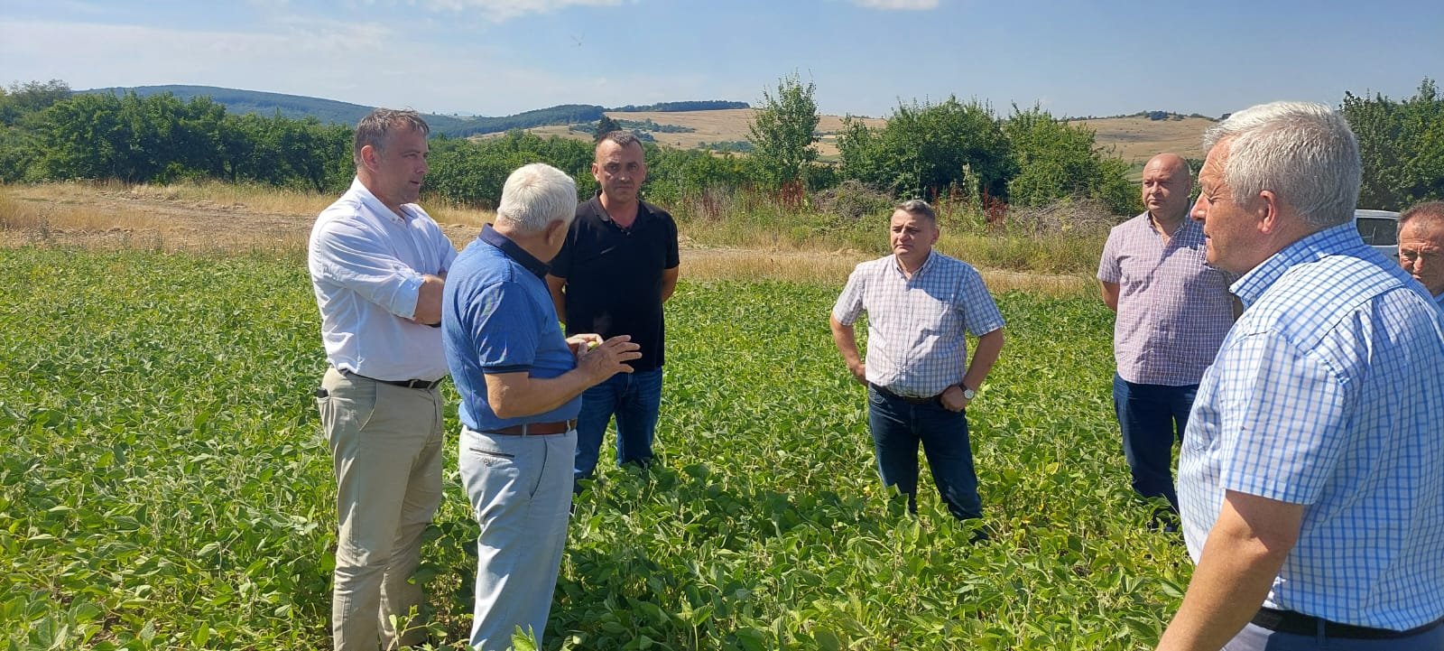 Ministerul Agriculturii acordă bani în avans pentru sectorul vegetal￼