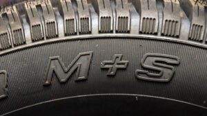 312130944_589518792970824_4464241671696151568_n