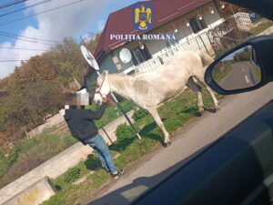 5212b82f-142c-4dcb-9ed1-d677726054b0