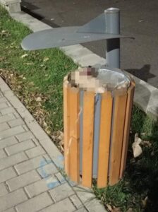 WhatsApp-Image-2022-10-25-at-17.44.49