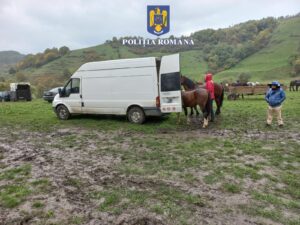 ba37aa89-9ee1-4533-a1e1-f1cd0c450feb