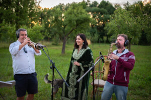 Nico de Transilvania