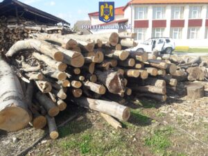 WhatsApp-Image-2022-11-04-at-13.19.50-2