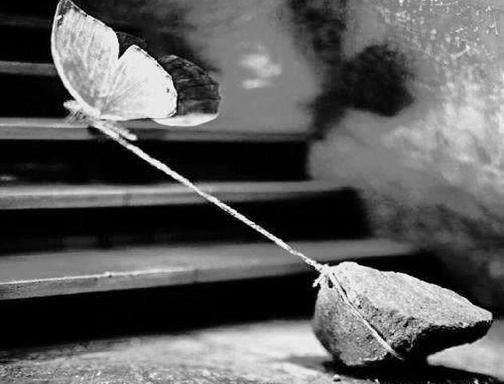 Untitled-1-Recovered