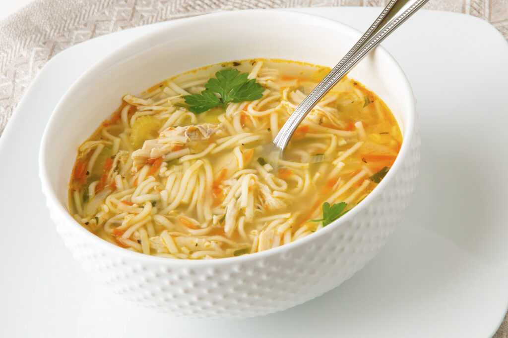 Chicken noodle soup