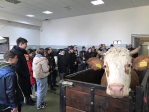 328241384_574213134720909_1895787021871235776_n