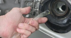 329003833_754878425648412_9165596690215002524_n