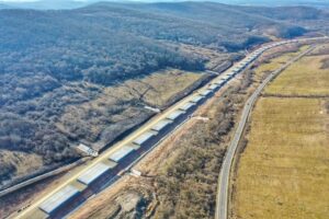 330314335_977554093229717_599622140148791562_n