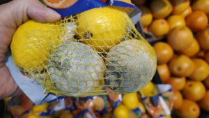 305541684_452784593548812_5290957603124450520_n