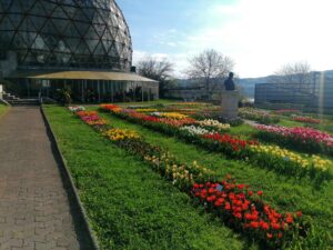 306086063_469423685220071_480995897777049103_n