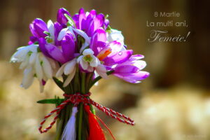 33181406421_a81b5e4374_c