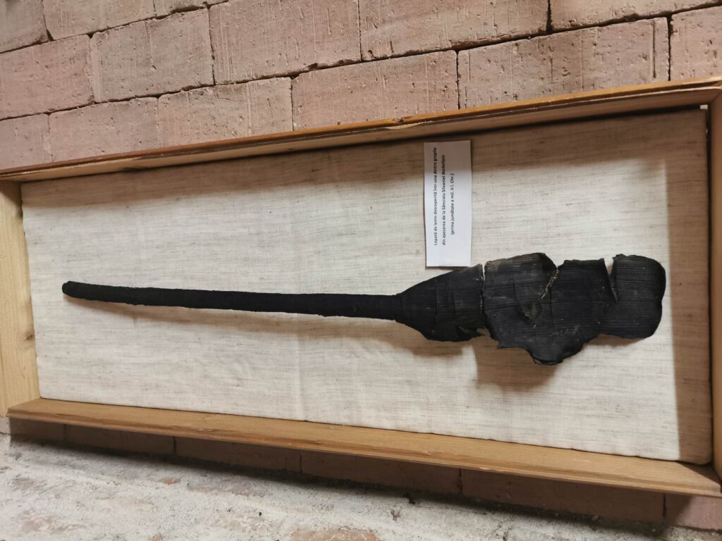 335084292_153765657231440_6697493027694857047_n