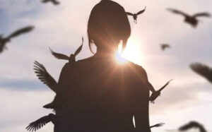 6c8d2ac9fe9e2fc9e14b8766d7ef9737