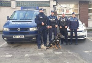 878a374b-a073-4e7e-8da8-2672db78c763