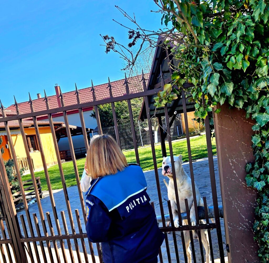 bfe74eb2-203f-433a-a919-d21b5f4ea91c