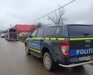 3c9b0fd8-9dcf-4efd-8070-58cb04cc964a