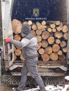 cd4ce1f1-7688-42d8-a4b5-e46bb738467d