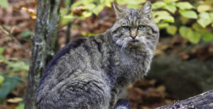 350107868_948210003155596_5242573405951589764_n