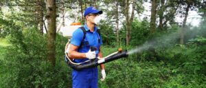 352495186_1588284681694865_3616075081714092864_n