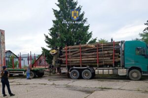 51bea11a-35ee-4a97-a58a-0ba71d643041