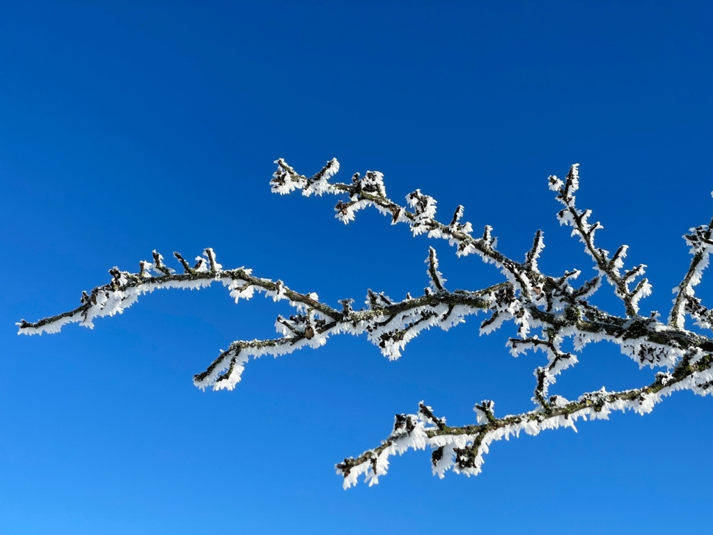 Vreme de primăvară în prima jumătate a lunii februarie. Zonele în care temperaturile ating 15 grade Celsius