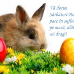 Mesaje de la oficialii sălăjeni. Sărbători fericite!