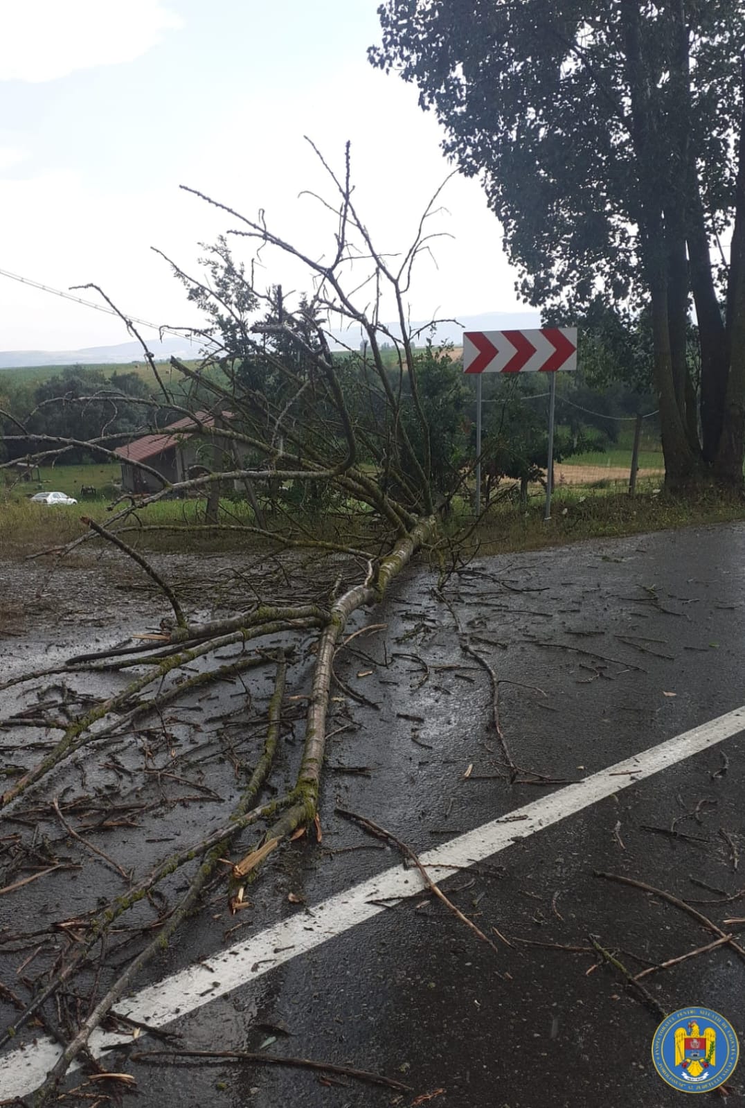 Sălajul, sub coduri de caniculă și grindină