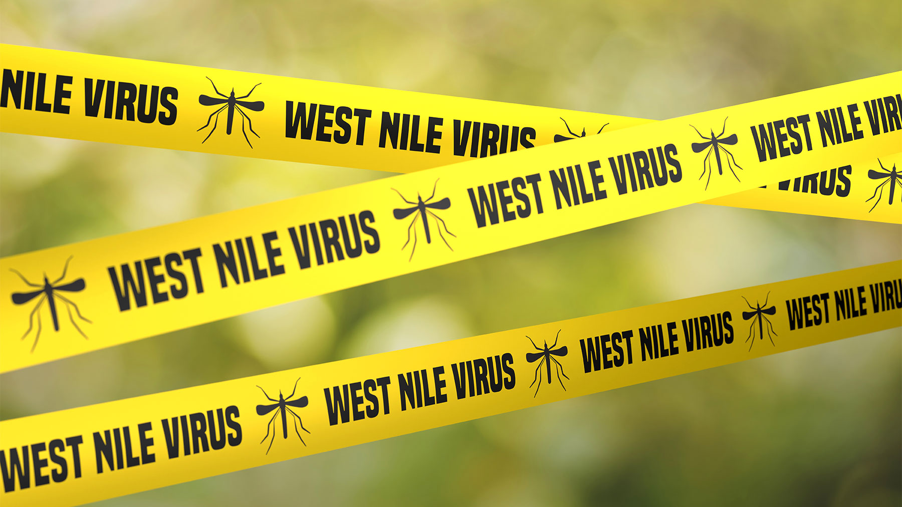 Decesul unui bărbat confirmat cu virusul West Nile amână donarea de sânge din zona Jibou