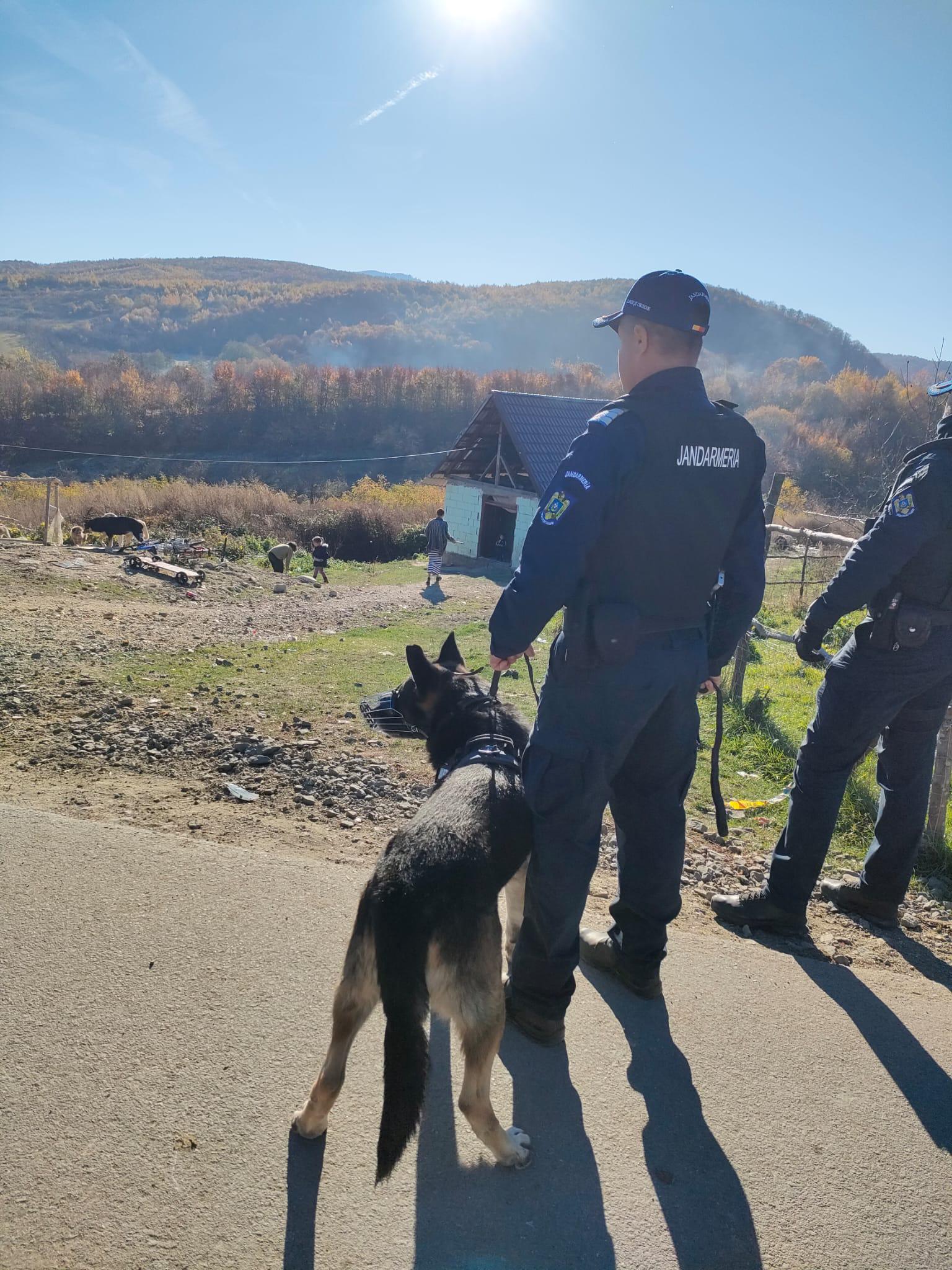 Razie în zona Crasna. Polițiștii și jandarmii au împânzit zona