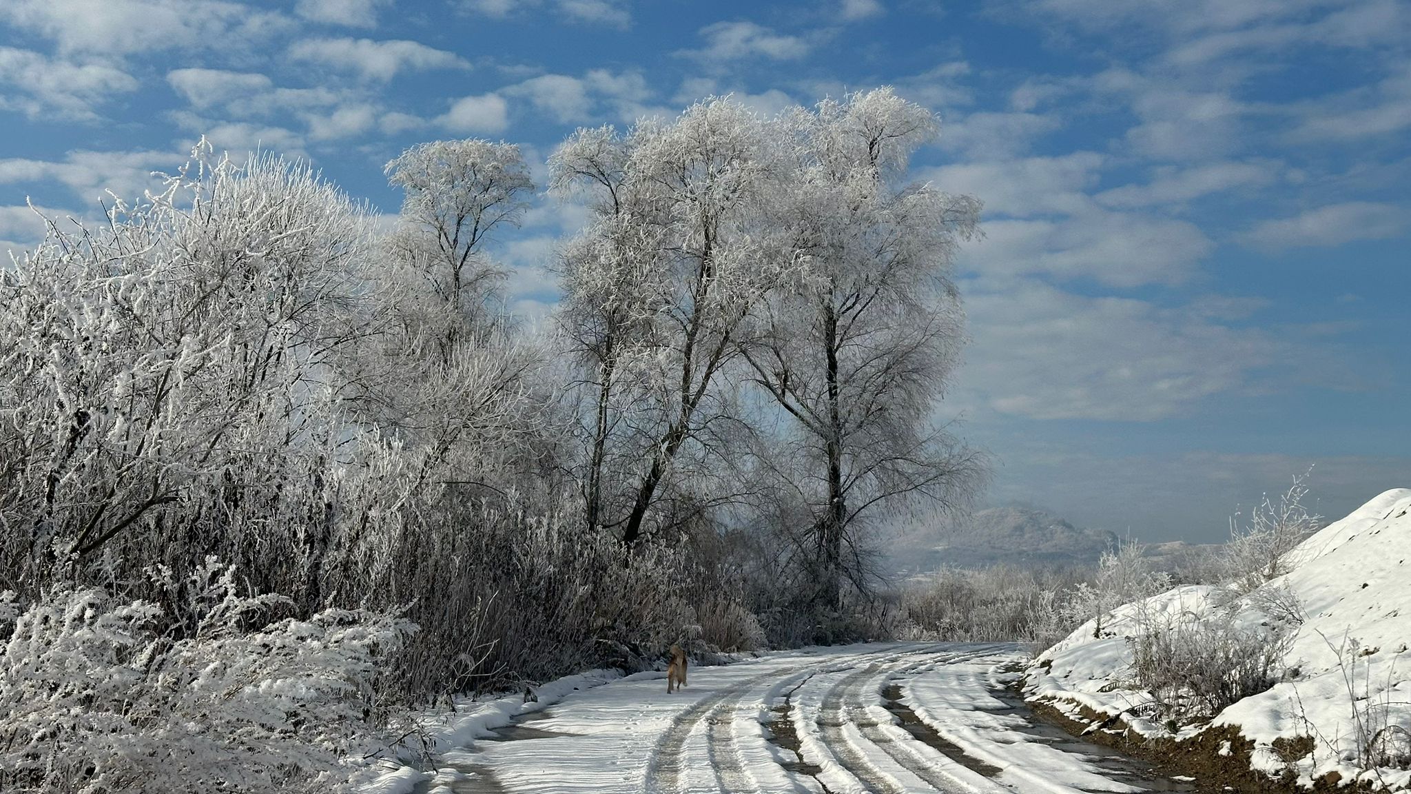 Avertizare meteo: Val de ploi, lapoviţă şi ninsori în toată ţara, din această noapte