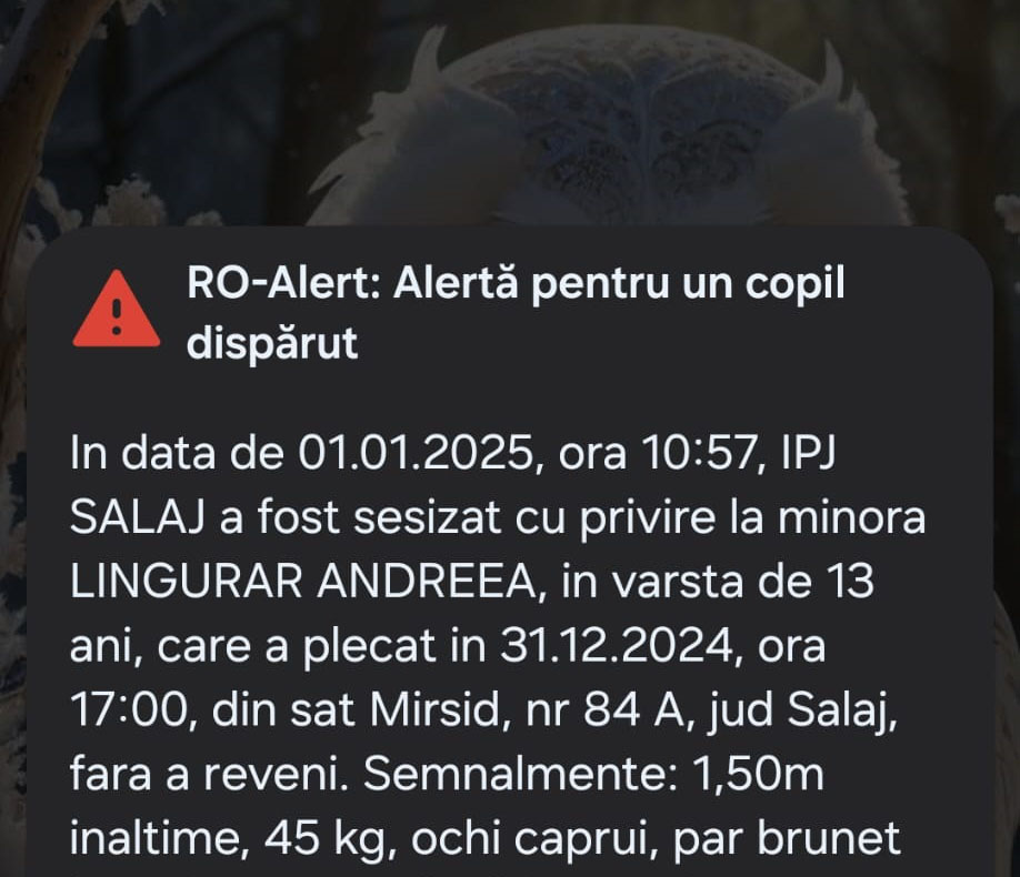 ALERTĂ! Copil dispărut