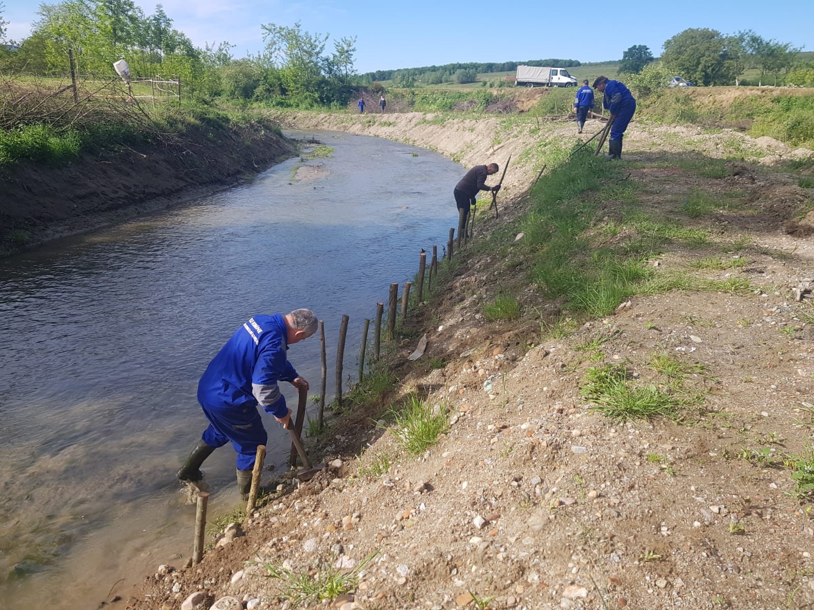 Malurile râului Crasna, întărite cu plante pentru a preveni inundațiile