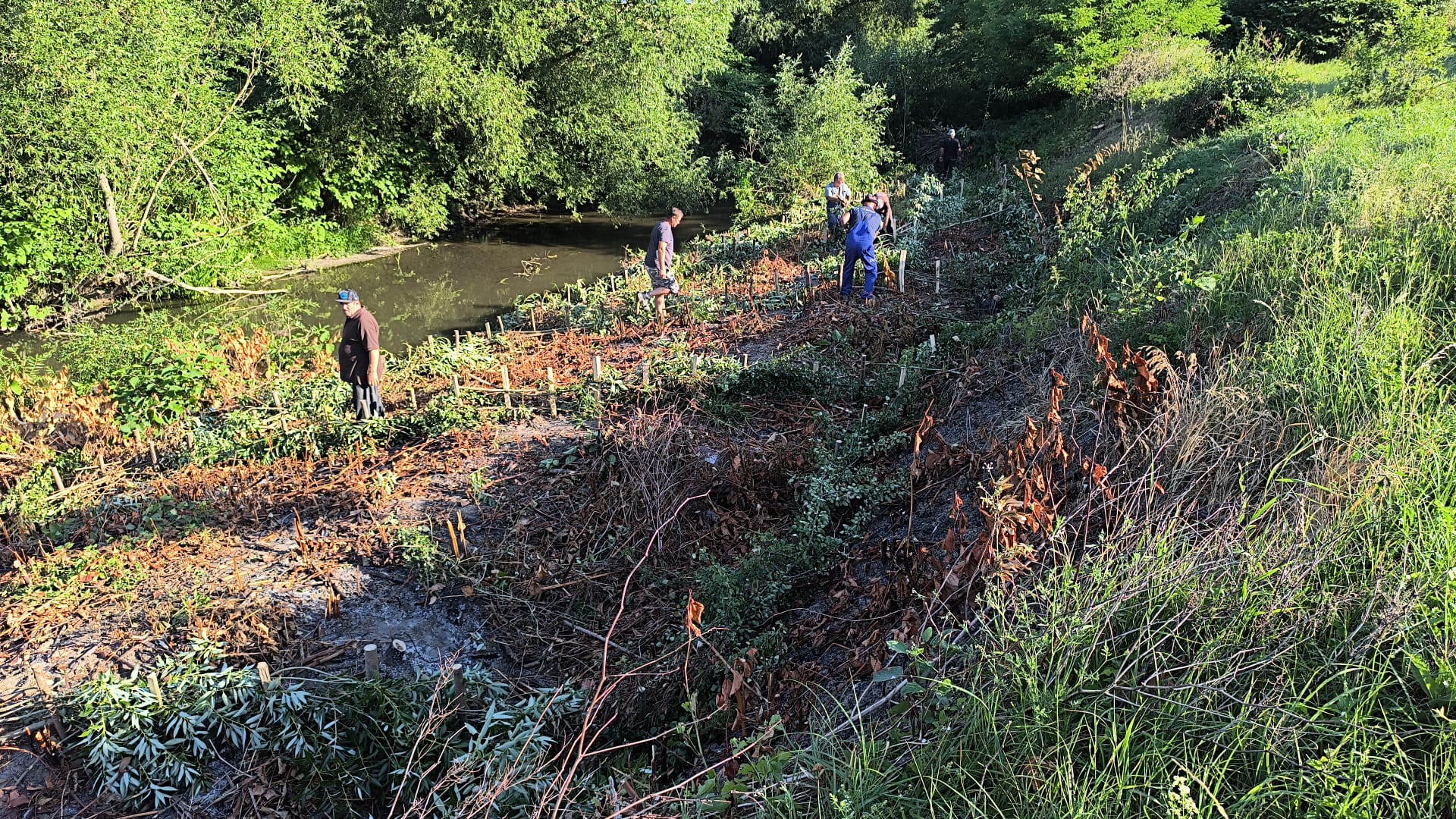 Protejarea malurilor râului Crasna în zona Sărmășag: Ce măsuri se iau?