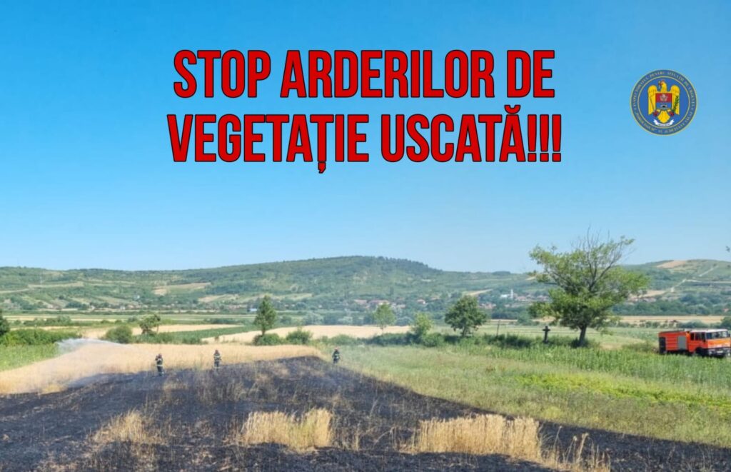 516165404_1060679509538929_648580749290586705_n